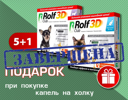 RolfClub: 5 + 1 в подарок