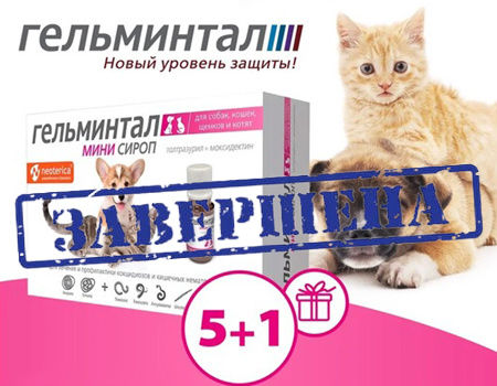 Гельминтал: акция 5 + 1 на таблетки в ассортименте