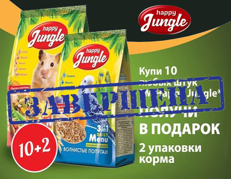 Happy Jungle: 10 + 2 в подарок