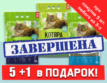 Котяра: акция 5 + 1 в подарок