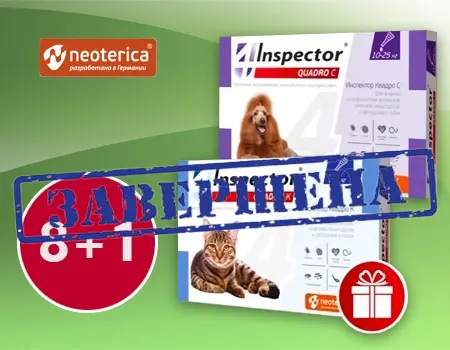 Inspector: 8 + 1 в подарок