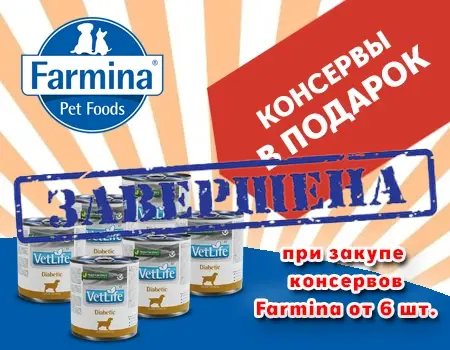 Farmina: подарок при покупке консервов от 6 шт.