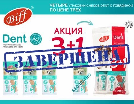 Biff Dent: акционная упаковка 3 + 1 Biff Dent: акционная упаковка 3 + 1