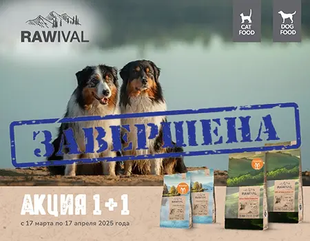 Акция 1+1 на корма RAWIVAL!