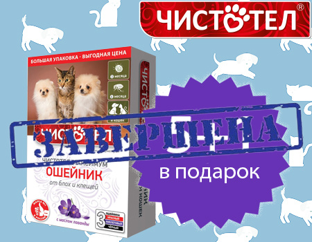 Чистотел: акция 5 + 1 на ошейники Чистотел: акция 5 + 1 на ошейники