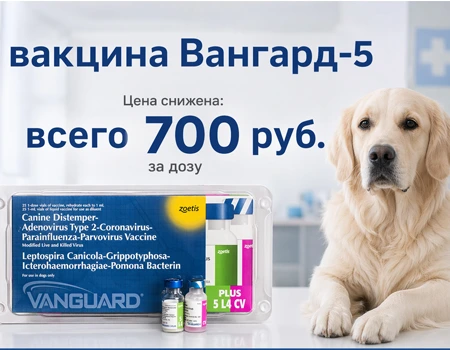 Вангард-5: теперь цена 700р. за дозу!