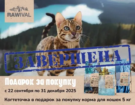 Rawival: когтеточка в подарок при покупке корма 
