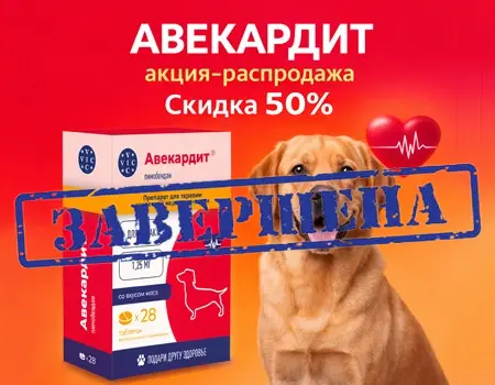 Авекардит: скидка 50% при покупке второго набора из 3 SKU Авекардит: скидка 50% при покупке второго набора из 3 SKU