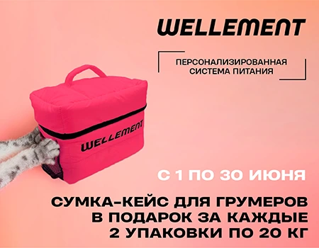 Wellement: сумка-кейс в подарок Wellement: сумка-кейс в подарок