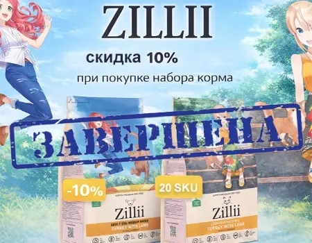 ZILII: набор №1 — скидка 10%