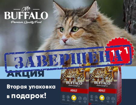 Mr.Buffalo: 1 + 1 в подарок