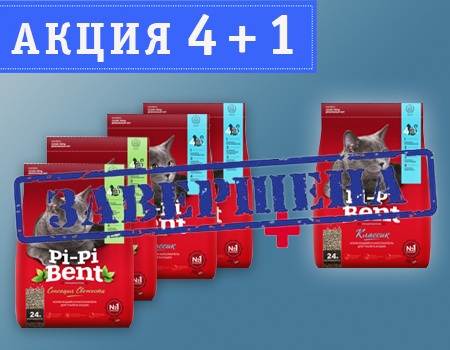 Pi-Pi-Bent: акция 4 + 1