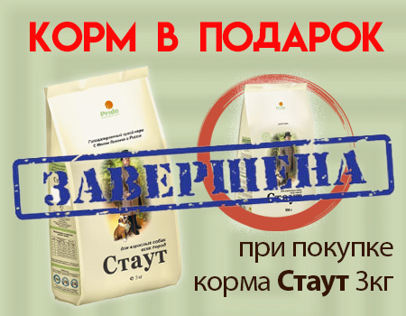 СТАУТ: корм 0,5кг в подарок при покупке 3кг СТАУТ: корм 0,5кг в подарок при покупке 3кг