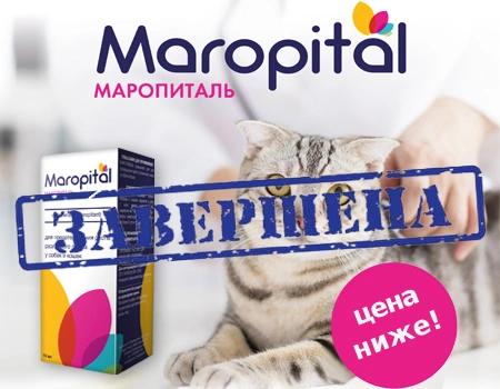 Маропиталь: цена снижена!