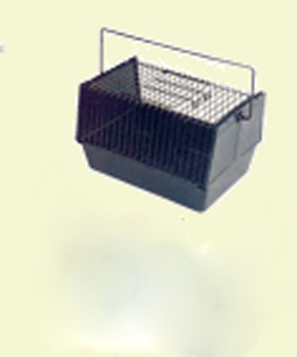 4620003544415.jpg