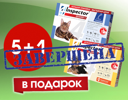 Inspector: акция 5 + 1 Inspector: акция 5 + 1