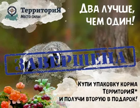 Акция на корма ТерриториЯ 1 + 1