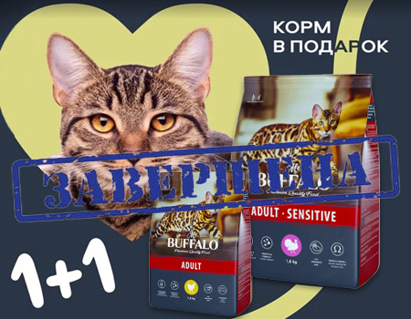 Mr.Buffalo: акция 1 + 1 в подарок на кошачьи корма