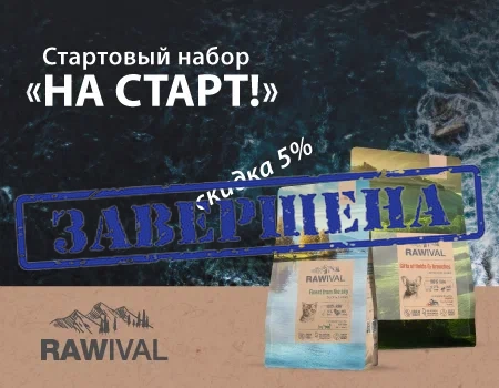 Стартовый набор бренда Rawival  «На старт!» 