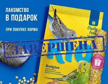 RIO: подарочные упаковки корма с лакомством