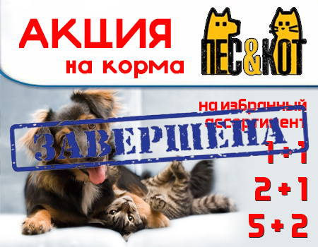Пес&Кот: акция на корма для собак Пес&Кот: акция на корма для собак