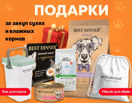 Best Dinner: подарки при закупе сухих и влажных кормов