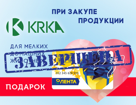 KRKA: подарок при покупке продукции для МДЖ KRKA: подарок при покупке продукции для МДЖ
