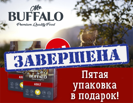 BUFFALO: акция 4 + 1 на сухой корм для взрослых кошек