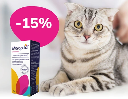 Маропиталь: дополнительная скидка 15%