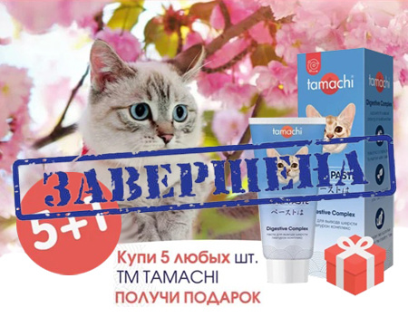 Tamachi: акция 5 + 1 в подарок Tamachi: акция 5 + 1 в подарок