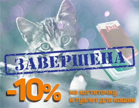Скидка 10% дополнительно на когтеточку и туалет для кошек