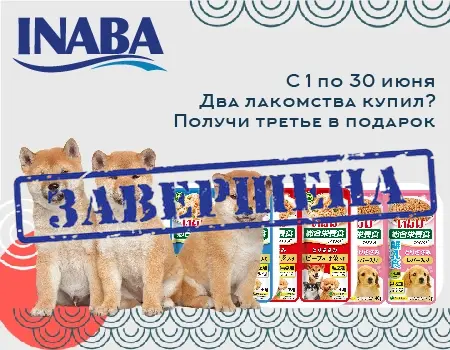 Inaba TWINS: акция 2 + 1 Inaba TWINS: акция 2 + 1