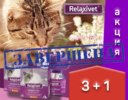 Relaxivet: 3 + 1 в подарок