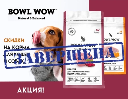 Bowl Wow: скидки на корма Bowl Wow: скидки на корма