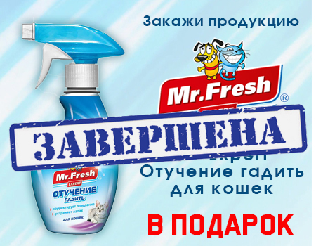 Mr.Fresh Expert: подарок за покупку