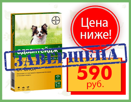 Адвантейдж: цена снижена!