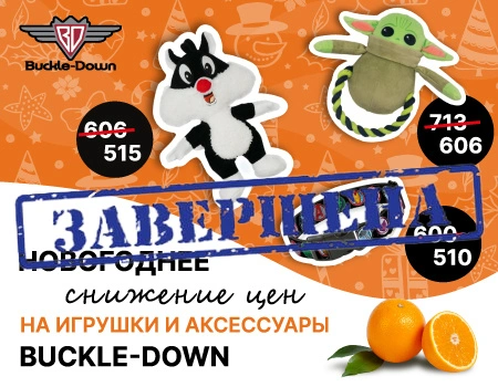 Скидка 15% на продукцию Buckle-Down