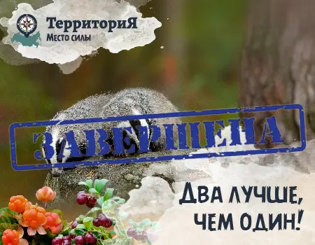 ТерриториЯ Крым: при покупке — корм в подарок!