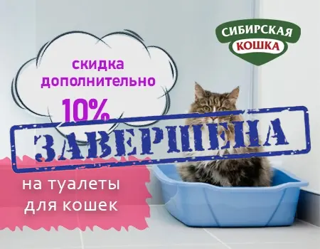 Сибирская кошка: -10% дополнительная скидка на туалеты
