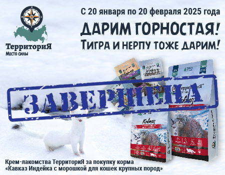 Лакомства в подарок при покупке корма ТерриториЯ