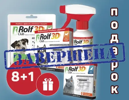 ROLF CLUB 3D: 8 + 1 в подарок ROLF CLUB 3D: 8 + 1 в подарок