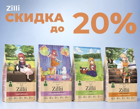 ZILLII: скидки до 20% ZILLII: скидки до 20%