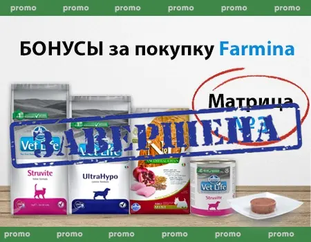 Бонусы за покупку Farmina. Матрица №3 Бонусы за покупку Farmina. Матрица №3
