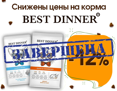 Best Dinner: дополнительная скидка 12% на сухие корма Best Dinner: дополнительная скидка 12% на сухие корма