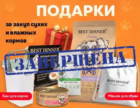 Best Dinner: подарки при закупе сухих и влажных кормов