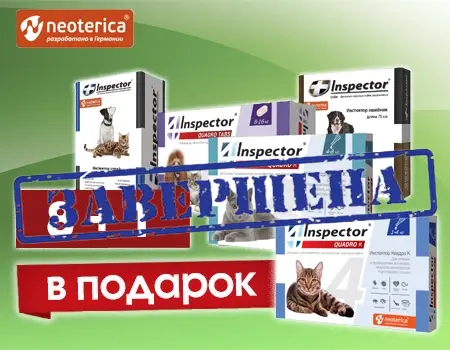 INSPECTOR: акция 8 + 1 INSPECTOR: акция 8 + 1