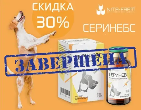 Серинебс: скидка 30% дополнительно