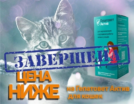 Гепатовет Актив: скидка 25% Гепатовет Актив: скидка 25%