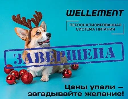 WELLEMENT: доп. скидка 10% WELLEMENT: доп. скидка 10%