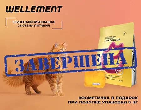 Wellement: подарок при покупке